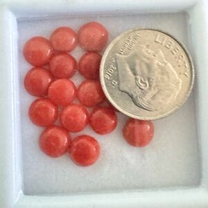 Elegant Coral loose gemstones $25